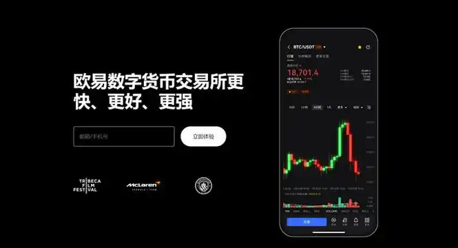 偶yi官网平台展示图